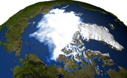 Arctic sea ice 2003